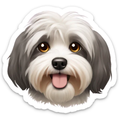 Havanese sticker
