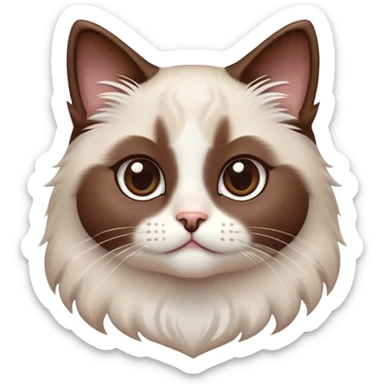 Cinematic Adorable Chocolate-Point Ragdoll Cat Portrait Emoji, Head tilted cutely with big, sparkling eyes, sleek brown and white tones with a sweet white nose, Simplified yet irresistibly adorable features, highly detailed, glowing with a soft, warm glow, high shine, affectionate and playful, stylized with a touch of whimsy, bright and endearing, soft glowing outline, capturing the essence of a curious and loving kitten, so cute it feels like it could leap out of the screen and snuggle up for a cuddle! sticker