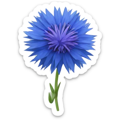 blue cornflower sticker