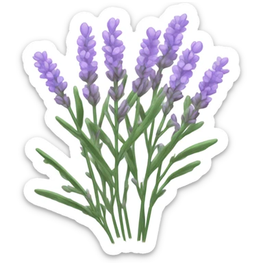 Lavender sticker