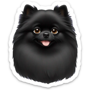 Black Pomeranian  sticker