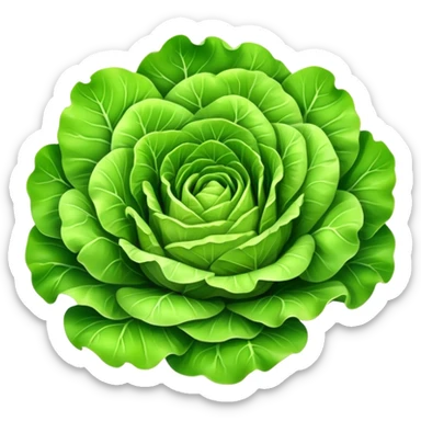 Cinematic crisp green lettuce, fresh and leafy, slightly curled edges, detailed textures, vibrant and refreshing, ultra-realistic and inviting. sticker