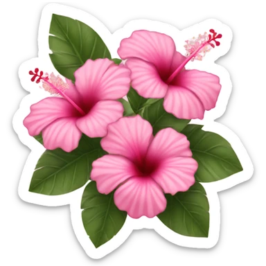Pink hibiscus bouquet  sticker