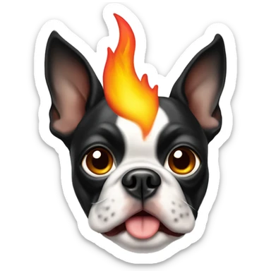 Boston terrier dog with a flame  sticker