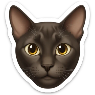 dark brown burmese adult cat sticker