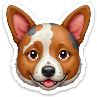 Chunky Australian cattle dog with ears up begging sticker