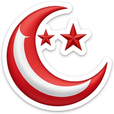 Doğu Türkistan flag sticker