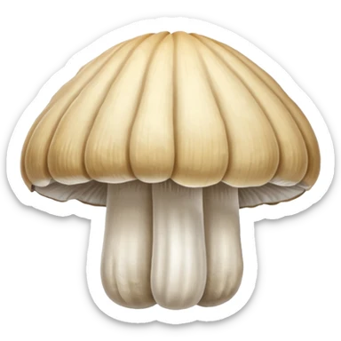 oyster mushroom sticker