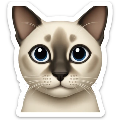 Siamese cat named Sky sticker