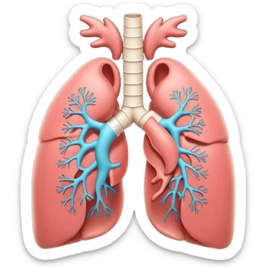 A 3D cartoon anatomical illustration of human lungs with trachea and bronchi, soft lighting, Memoji-style. sticker