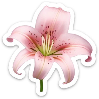 light pink lilium sticker