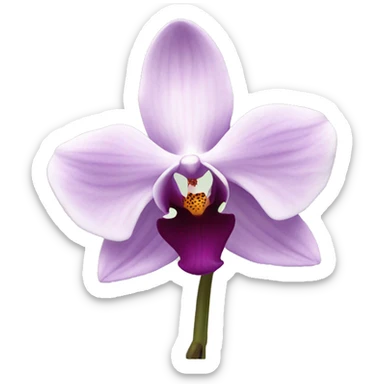 Orchid sticker