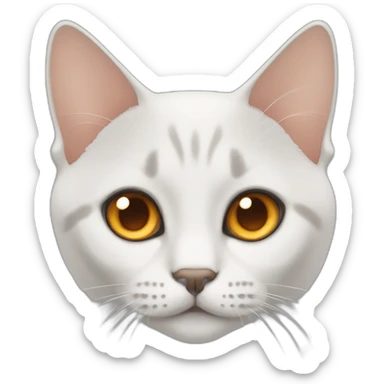 British short hair with orange eyes sticker
