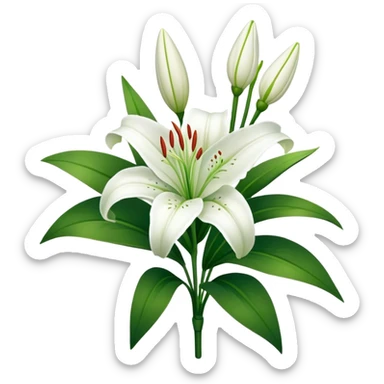 bouquet Snow White Lily, luxuriant, stem, leaf, bud sticker