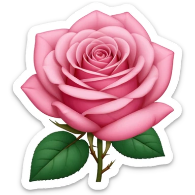 Um buque rosa sticker