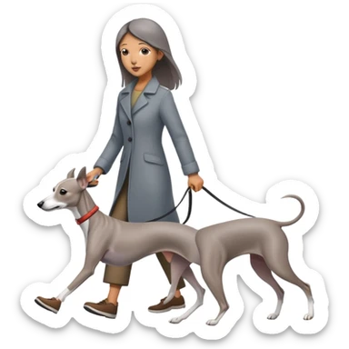 Beautiful Asian girl walking a solid grey Italian greyhound with absolutely no white markings, completely grey dog sticker