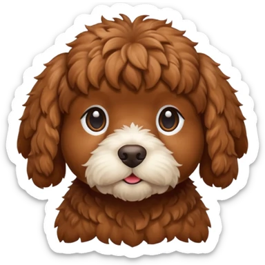 Cozy autumn brown cockapoo sticker