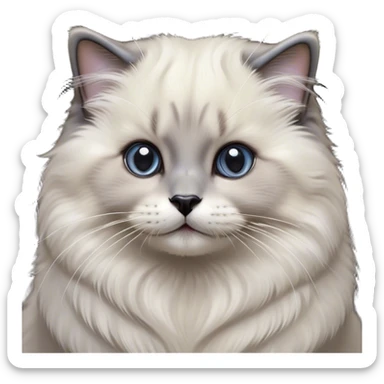 Cinematic Adorable Fluffy Grey Seal Ragdoll Cat Portrait Emoji, Head tilted cutely with big, sparkling eyes, soft grey fur with darker seal points on the ears, face, and paws, Simplified yet irresistibly adorable features, highly detailed, glowing with a soft, warm glow, high shine, affectionate and playful, stylized with a touch of whimsy, bright and endearing, soft glowing outline, capturing the essence of a curious and loving kitten, so cute it feels like it could leap out of the screen and snuggle up for a cuddle! sticker