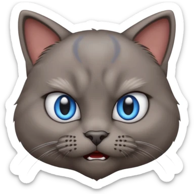 angry grey cat blue small eyes. iphone real emoji style sticker