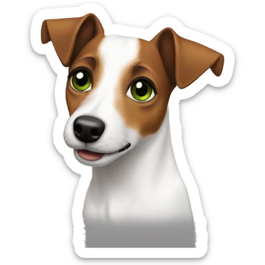 Jack russel terrier with green-brown eyes, a brown spot on one ear, half of the muzzle is white sticker
