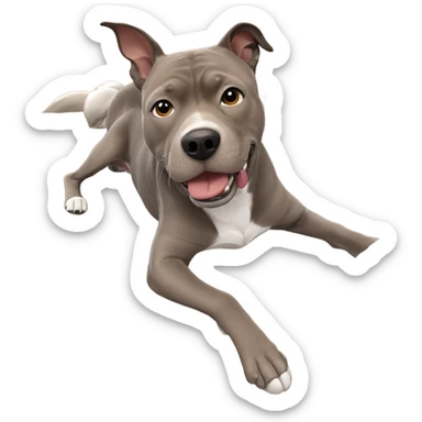 dog relaxing on couch indoors sticker