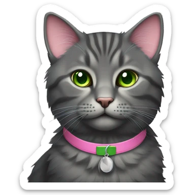 dark grey fluffy tabby cat with green eyes and pink collar sticker