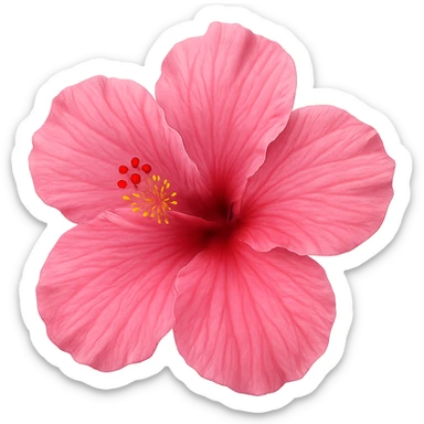 pink hibiscus flower sticker