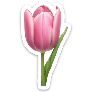 a pastel colored tulip sticker