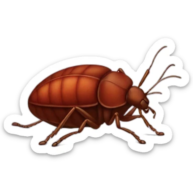 Bedbug sticker