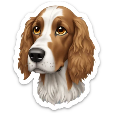 Setter anglais  sticker