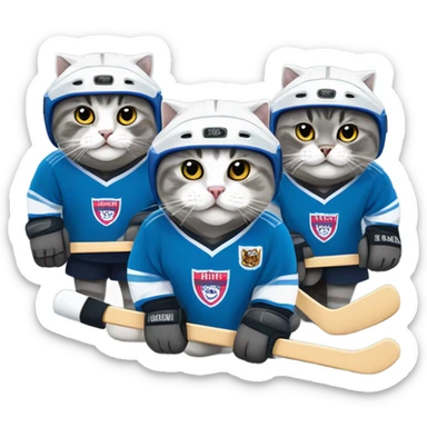 Team of Grey Scottish fold cats playing hockey  sticker