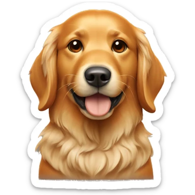golden retriever with texas longhorns university orange football helmet  sticker