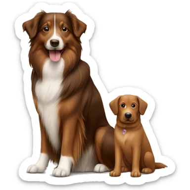 Shetland sheepdog and brown Labrador sitting sticker