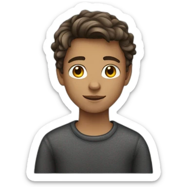 teenager boy brown wavy hair and dark gray sweater sticker