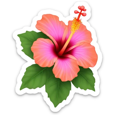 Hibiscus flower with petals of orange and pink sticker