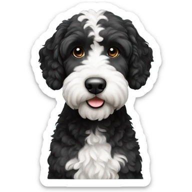 Black and white labradoodle sticker
