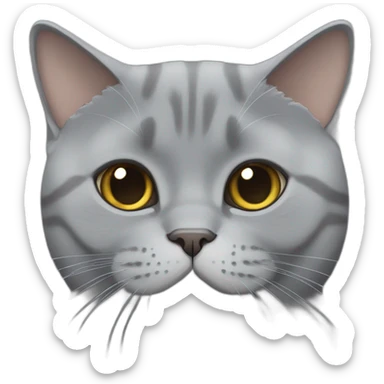 flat faced british shorthair gray cat sticker