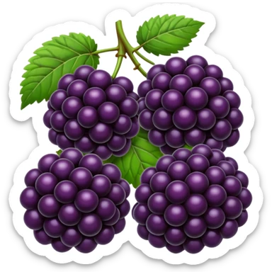 blackberryies sticker