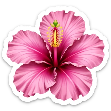 hibiscus blossom, pink petals sticker