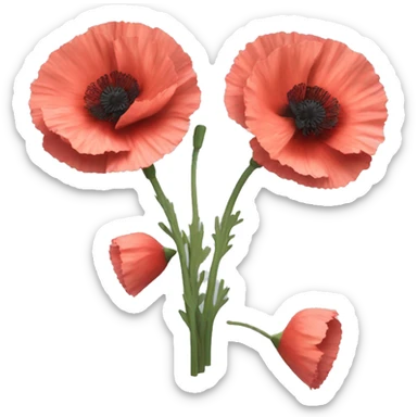 Carnation poppy sticker