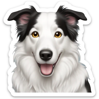 white border collie  sticker
