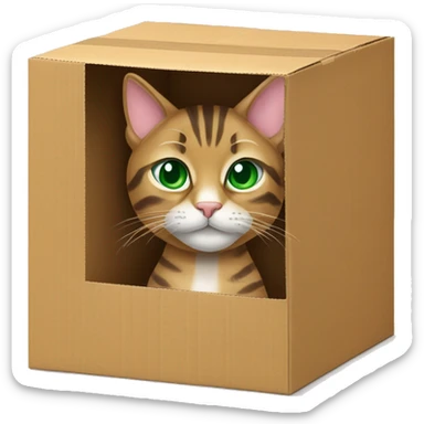 tabby cat with green eyes in cardboard box sticker