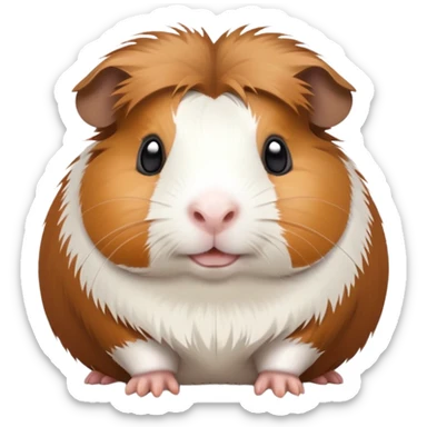 Meerschweinchen  sticker