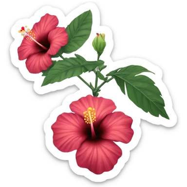 Hibiscus sticker