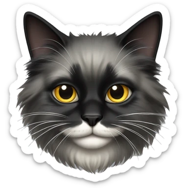 black cat domestic long-haired with half white mouth sticker