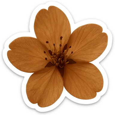 show  one brown cherry blossom without a stem , remove background sticker