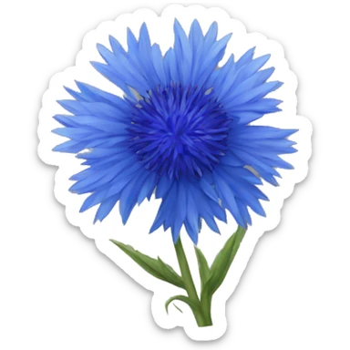 big blue cornflower sticker