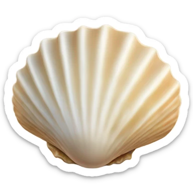 Seashell sticker