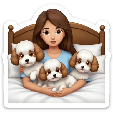 Olive skin girl with long brown hair in bed with 3 WHTE bichon frise's sticker