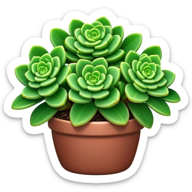 Cinematic Realistic Crassula Emoji, Compact and vibrant, with small, fleshy leaves arranged in thick, rounded clusters. The deep green hue of the leaves radiates calm, while their structured growth speaks of endurance. Soft glowing outline, capturing the essence of perseverance and tranquility in a crassula plant! sticker